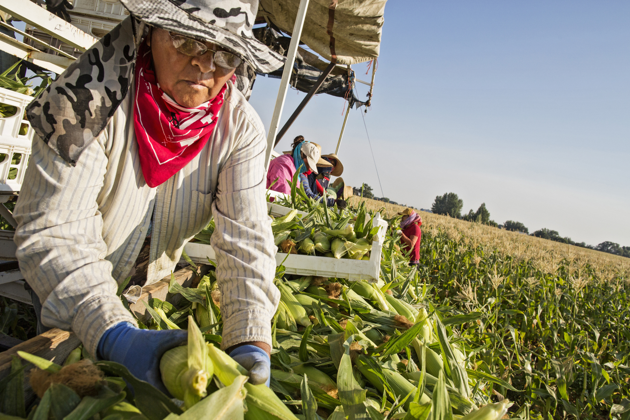 Caen Ventas con SNAP hasta 50% en Mercados Agrícolas de Massachusetts por Recortes Federales